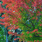 a18246783543