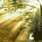 q595758874